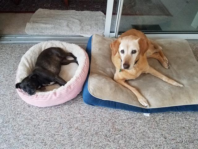 20210626_195519.jpg - JKJK'|¶ÿ��Óû��û«�Ðm�����Cÿÿ�Cÿÿ���������������������á�tx´����+�ã4�åþÿ8=��{¥ÿÿß�¦ÑÿÿDüÿÿÊþÿ;9��������� "� "�1"�1"�1"�1"�1"�!"��A"�A"�1"�1"�1"�1"�1"�!"�!"��1"�1"�1"�!"�!"�A"�A"�1"�1"�1"�1"�1"�1"� "� "�!"�1"�!"�!"�!"�!"�1"�1"�!"�!"�!"� "�1"�1"� "� "�Q3�Q3�!"�!"�!"�!"�!"� "� "� "�1"�1"�1"�1"�A"�Q3�A"�aU�Q3�1"�1"�1"�1"�1"�1"�1"�1"�1"�1"�1"�A"�Q3�A"�Q3�af�A"�A"�1"�1"�1"�1"��Q3�A"�1"�Q3�A"�Q3�A"�aU�Q3�Q3�A"�1"�!"�1"�1"��A"�A"�1"�af�A"�A"�Q3�aU�Q3�A"�1"�1"�!"�1"����A"�aU�A"�A"�Q3�aU�A"�A"�A"�A"�1"� "�0���A"�af�p�1"�A"�A"�Q3�A"�1"�1"�A"�1"� "�@�p�p�p���"�A"�A"�A"�A"�1"�1"�1"�1"� "�1"�P"�p�p�0�0�"�"�"� "�1"�1"�1"�1"�1"� "� "� "�1"�1"�1"�1"�1"�1"�1"� "� "� "� "�!"�!"� "� "� "�!"�1"�1"�1"�1"�1"�1"�1"�1"�1"�1"�1"�1"� "� "�!"� "�1"�!"�1"�1"�1"�1"�1"�1"�1"�1"�1"�1"� "� "�!"�!"�1"�1"�!"�1"�1"�1"�1"�1"�1"�1"�1"�1"�ºÿ!rªÿ6������Ø�è­�í������������������������PûPûPû������?û?û?û����������������������������4���Ü�!º�!º�!i�øi�¢i�¢.�Ý�6�6������������������§�KØ�èØ�è�½®�í®�í4��ê����x2���CÿÿWÿÿ�����������������������������������������������������������������������������������������������������������������������������������������������������������������������������������������������������FAFA�m�IU �~�2�g�FAFA�������������������������������������������������������������������������������������������������������������������������������������������������������������������������������������������������������������������������������������������������FAFAð�������:������ç#��������������������������9ç#����<ÿ�����@����¥@����1�������������-�������������ÿÿ:����~�¢"�����~�����3�������������ç#����À�����Ð~@����+�~@��������������������������P�������������y������¿�����P����������������À�����������0�����Éÿ������çÿ������þÿ��������������~�����������������������������������À�����Ð�������������������������������������������;�������:�������?�������D������H������L������P������S������V������Y������\�������_�������c�������h�������m�������r�������y������������������������������������������¢�������§�������¬�������³�������»�������Ä�������Î������Õ������Ü������ä������í������ö������ý������������������������������ ������)������2������=������I������Q������[������d������o������}������������������¦������¶������Ç������ß������ô������ÿ������ÿ������ÿ������#�������#�������#�������#�������#