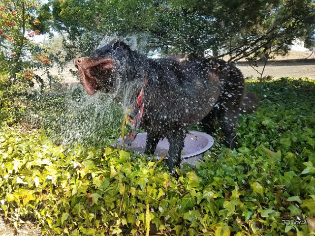 20211003_131946.jpg - JKJK'|¶ÿ��Óû��û«�Ðm������������������������������£�ÿ¸±����F{�2G�uÂþÿXöÿÿM¶ÿÿ=�x³ÿÿ ��µþÿDD�2w�1"�!"�2w�!"�"w�!"�!"�!"�"w�!"�1"�1"�1"�1"�1"�Bw�2w�!"� �!"�"w�!"�!"�!"�!"�!"�!"�!"�2w�1"�1"�A"�p���� � � � �!"� � � �1"�1"�1"�1"�1"�1"� �1"�1"� ����"� � �1"�A"�A"�A"�b���2w�1"�Q3�A"�q¦�@"������A"�A"�A"�A"�A"�2w�Q3�Q3�Q3�A"�0�������A"�A"�A"�Bw�2w�1"�1"�1"�!"�1"� �� �����!"�!"�!"�2w�Bw�1"�1"� �!"�1"�p��� ����0�"w�"w�"w�Bw�A"�2w�1"�1"�"w�2w��� �!"��"w�"w�"w�"w�Bw�Bw�2w�2w�2w�"w�0������1"�"w�"w�"w�"w�Bw�2w�2w�2w�2w�2w�2w�1"����2w�"w�2w�2w�2w�Bw�2w�Bw�2w�2w�2w�2w�2w�2w�1"�2w�"w�2w�2w�2w�2w�Bw�Bw�Bw�2w�2w�2w�2w�2w�2w�2w�2w�2w�2w�2w�2w�2w�Bw�Bw�Bw�Bw�2w�2w�2w�2w�2w�2w�2w�2w�2w�2w�2w�2w�Bw�Bw�Bw�2w�2w�2w�2w�Bw�2w�2w�2w�2w�2w�2w�2w�2w�b���b���Bw�2w�2w�Bw�2w�Bw�2w�2w�2w�2w�Bw�2w�2w�2w�7ÿO@�ôq�ä������������������� -ÿM������������V:S8S8������S8S8s(,�������������#�bC� ���@���f�`9�P9�Pc�ã>�ò>�òd�Àq�äq�ä������������������������������������������������������q\ÐÐ��������Z.������������������������������������������������������������������������������������������������������������������������������������������������������������������������������������������������������FAFA�m�IU ��<�g�FAFA�������������������������������������������������������������������������������������������������������������������������������������������������������������������������������������������������������������������������������������������������FAFAð�������F������ç#������
��������������������ç#����
�����
D����ÊD������������������5�������������ÿÿF�����ç#����������3�������������ç#����À�����ÐD����+�D��������������������������@������@������i������ÿ�����@�����@������p�������������������0�����Ùÿ������çÿ������ïÿ���������������������������������������������������À�����Ð�������������������������������������������;�������:�������?�������D������H������L������P������S������V������Y������\�������_�������c�������h�������m�������r�������y������������������������������������������¢�������§�������¬�������³�������»�������Ä�������Î������Õ������Ü������ä������í������ö������ý������������������������������ ������)������2������=������I������Q������[������d������o������}������������������¦������¶������Ç������ß������ô������ÿ������ÿ������ÿ������#�������#�������#�������#�������#�������