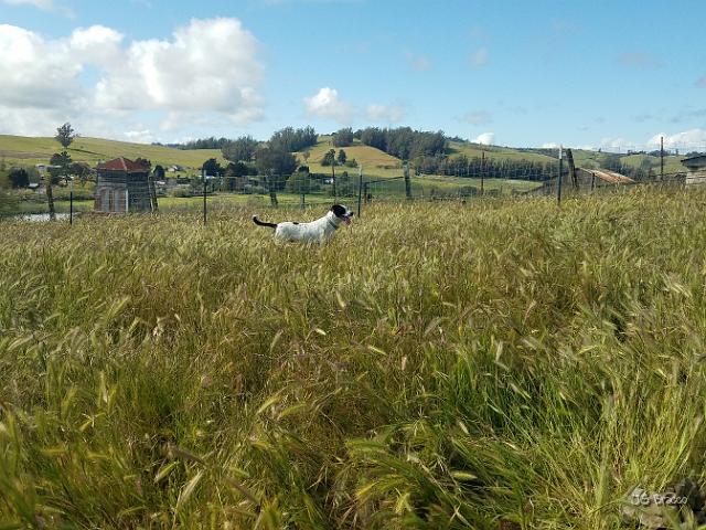 20220419_163402.jpg - JKJK'|¶ÿ��Óû��û«�Ðm������������������������������ä�Ã»����øk�N^�Ç¬þÿêôÿÿÇ«ÿÿ¡¥�®ÿÿ6���¹þÿa������������������"�"�"��"������������"�"���"�����������"�"�"�"�"�"��"�"��������1"�!"� ��"�"�"� �1"��"�"�"�"�"�"�!"�1"� � �1"� �!"�!"�1"�!"�!"�!"� �1"�1"�1"�1"�1"�1"�1"�1"�1"�1"�1"�1"�2w�2w�2w�2w�2w�2w�1"�1"�1"�2w�2w�2w�2w�1"�1"�2w�1"�2w�2w�2w�2w�2w�2w�2w�2w�2w�2w�2w�Bw�2w�2w�2w�2w�2w�2w�2w�2w�2w�2w�2w�2w�2w�Bw�Bw�2w�2w�2w�2w�2w�2w�2w�2w�2w�2w�2w�2w�2w�2w�2w�Bw�Bw�Bw�Bw�2w�Bw�2w�2w�2w�2w�2w�2w�2w�2w�2w�2w�2w�2w�Bw�Bw�2w�2w�2w�2w�2w�2w�2w�2w�2w�2w�2w�2w�2w�2w�2w�Bw�2w�2w�2w�2w�2w�2w�2w�2w�2w�2w�2w�Bw�2w�2w�2w�Bw�2w�2w�2w�2w�2w�2w�2w�2w�2w�2w�2w�2w�2w�2w�2w�2w�2w�2w�2w�2w�2w�2w�2w�2w�2w�2w�2w�2w�2w�2w�2w�2w�Bw�2w�2w�2w�2w�2w�2w�2w�îÿÙ*ÿ������������������������������ÿ¬�������¡ç¡ç¡ç������¡ç¡ç§Ì�����������ï~����"���G�Íï�Ùï�Ùæ�Å+�+�������������������������������������������������������������������������¨Ð��������3£������������������������������������������������������������������������������������������������������������������������������������������������������������������������������������������������������FAFA�m�IU �r�<�g�FAFA�������������������������������������������������������������������������������������������������������������������������������������������������������������������������������������������������������������������������������������������������FAFAð�������:������ç#������r��������������������l