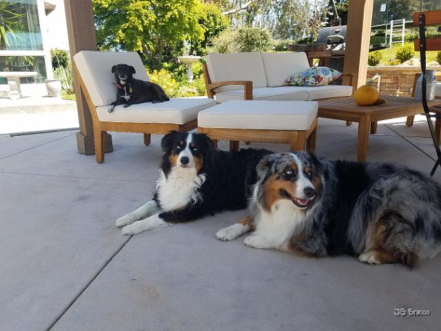 20220501_114644.jpg - JKJK'|¶ÿ��Óû��û«�Ðm������������������������������À�ð¹����o�z]�­þÿ÷ôÿÿ$¬ÿÿ¥�Ç®ÿÿp���þÿ`�!"�p���p���2w�2w�2w�2w�2w�1"� � � �1"�R��� �A"�!"��`��� �2w�2w�2w�2w�2w�1"� �1"�0�R���1"�1"� � �1"� � �2w�2w�1"�1"�1"�1"�A"�Q3�R���2w�Bw�0�1"�1"�0��A"�2w�2w�0�0����b���R���b���Q3�p���1"�A"��1"�2w�2w������P3�b���b���Q3�A"�A"�A"�Q3�0� ����������a�a�Q3�a�������a�`���a�Q3�a�a�a�Q3�Q3��`������������������������������������@"�0��������������������� ����a��������������������0�0���������������������� � �����������������������������������������������������������������������������������������������ÑÿÃ �ã¦�þ�������������������ÃB�������������ûûûû������ûûûîøï